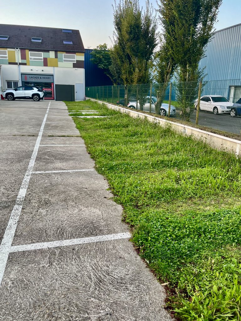 Photo avant d'une pelouse tondue