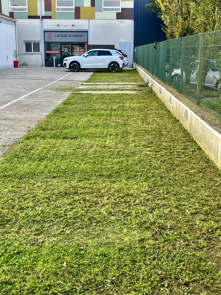 Photo après d'une pelouse tondue
